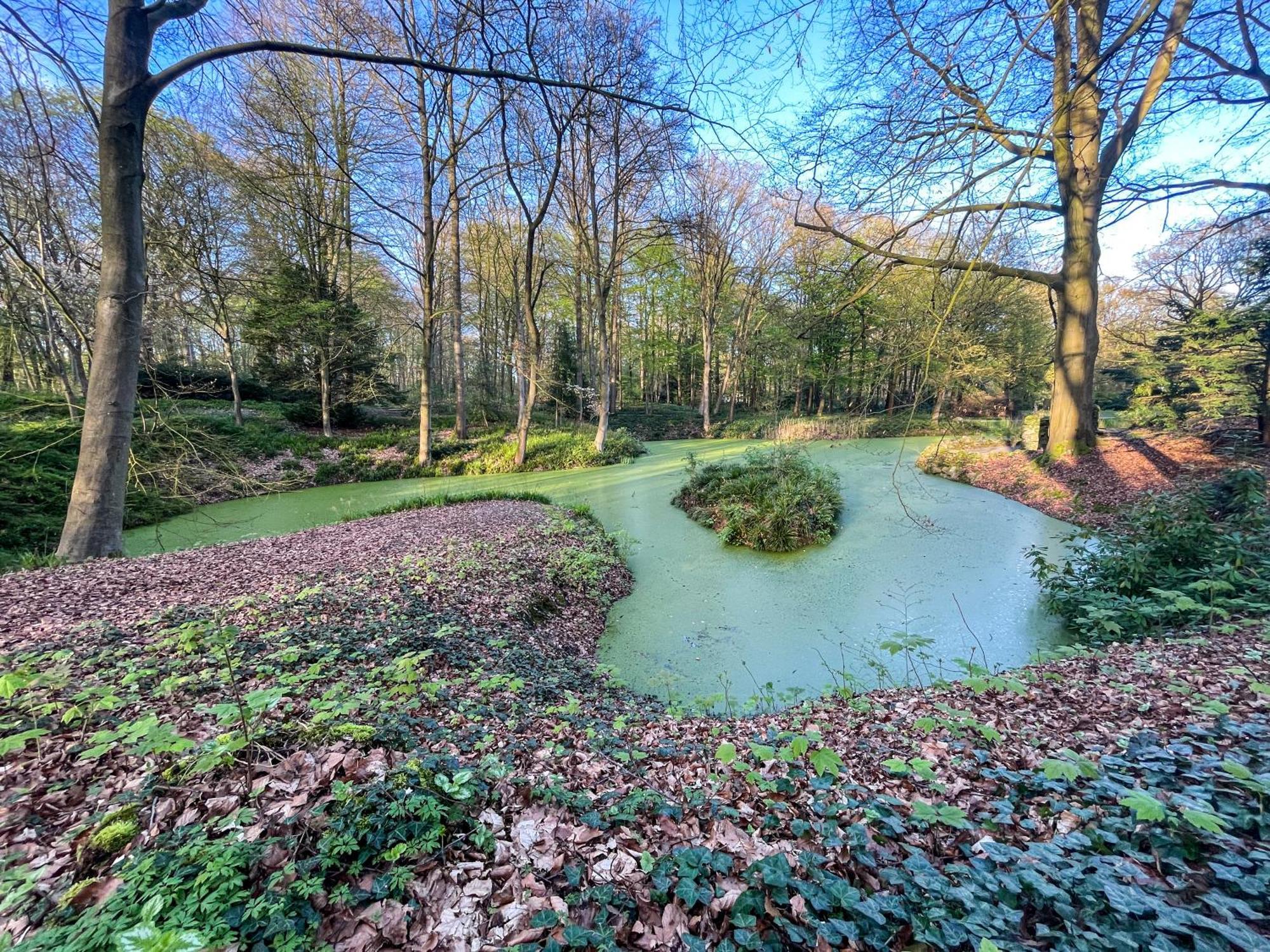 Landhaus Beim Knoops Park BRE Eksteriør billede
