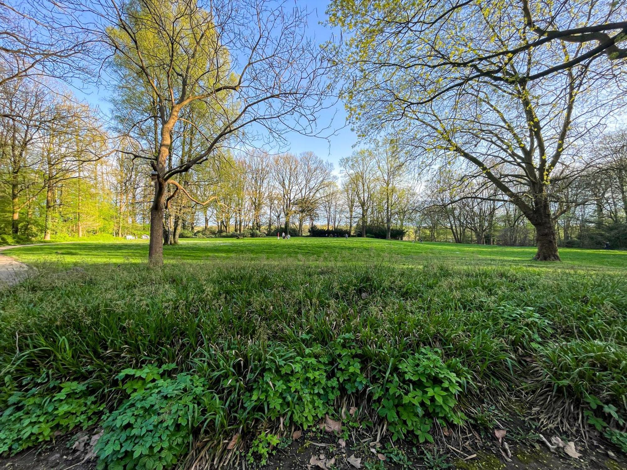 Landhaus Beim Knoops Park BRE Eksteriør billede